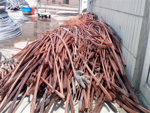 7865369.jpg 7865369.jpg