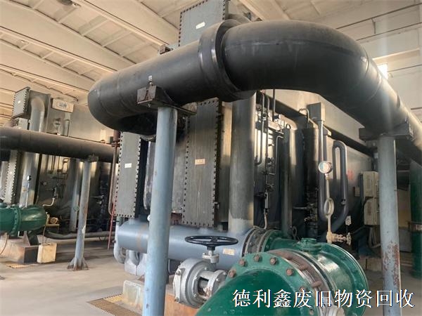 7893546.jpg 7893546.jpg